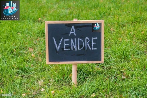 Vente Terrain Alger Rouiba