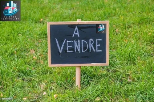 Vente Terrain Alger Reghaia