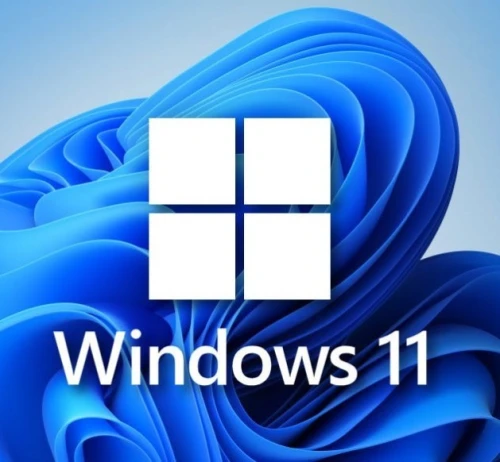 Windows 10 Pro et Windows 11 Pro 