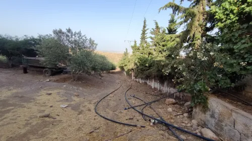 Vente Terrain Agricole Bordj Bou Arreridj Hasnaoua