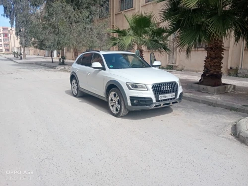 Audi Q5 2014 Off Road