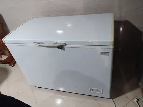 Frigo