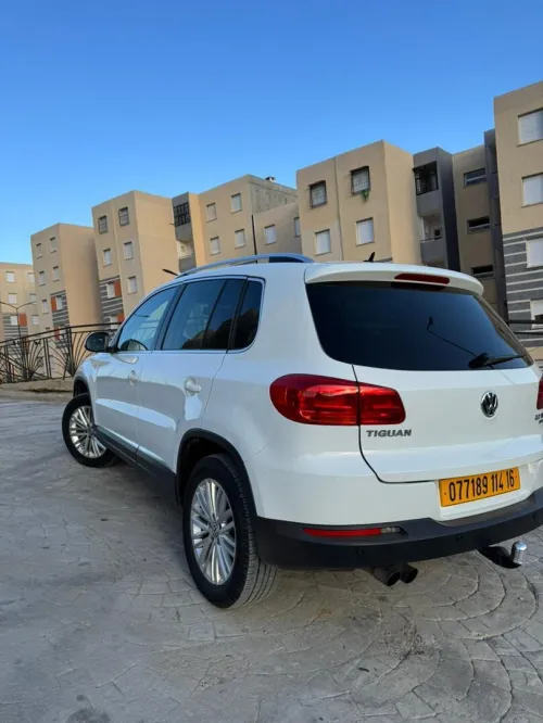 Volkswagen Tiguan 2014 cup