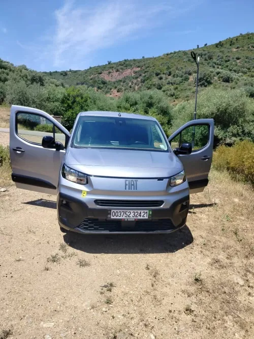 Fiat Doblo Van 2024 