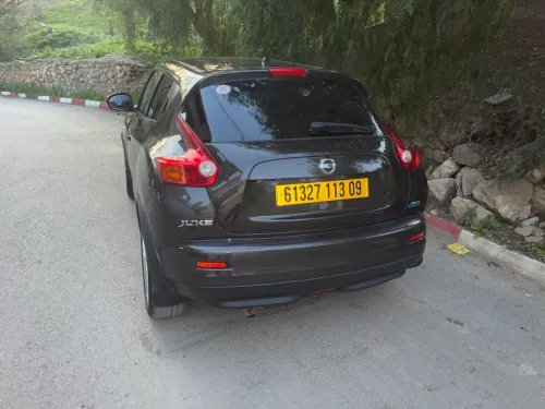 Nissan Juke 2013 