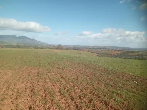 Vente Terrain Agricole Tipaza Sidi rached