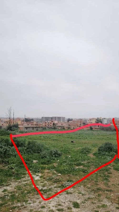 Vente Terrain Boumerdès Khemis el khechna