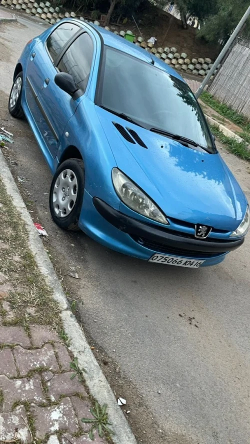Peugeot 206 2004 Tout option