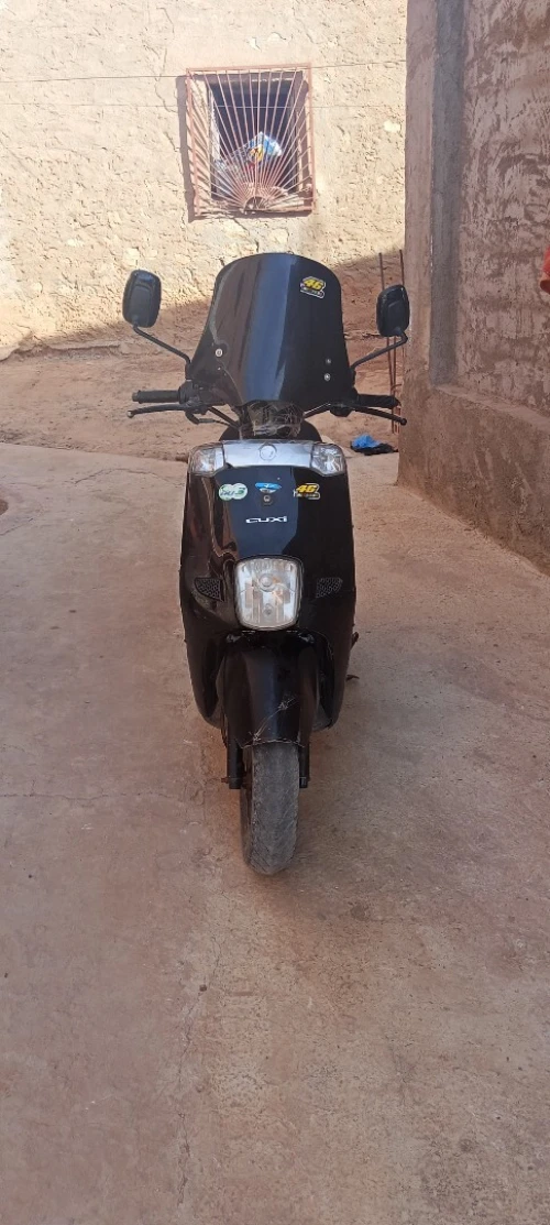 Pista Pista 2018