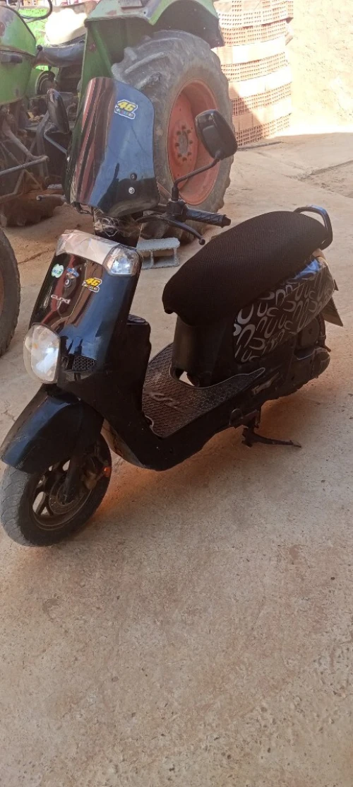 Pista Pista 2018