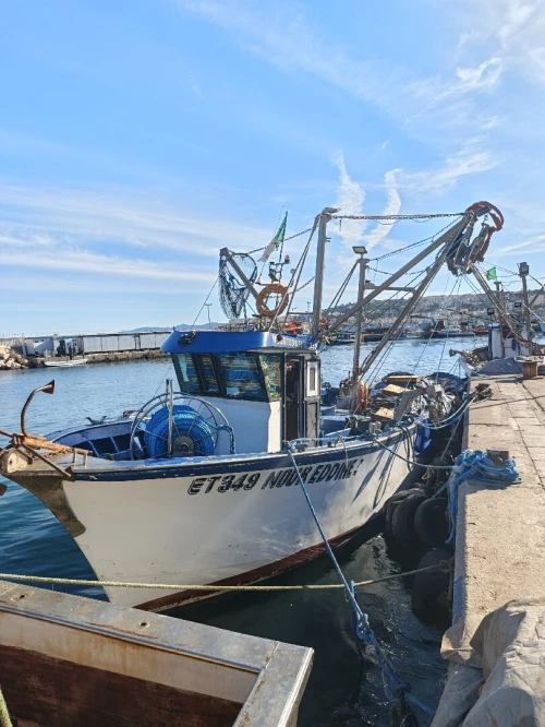 Bateau de pêche sardinier