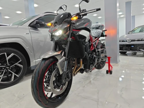 Kawazaki Z900 2025