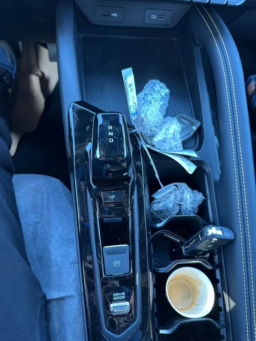 Geely Coolray 2025 Fill options