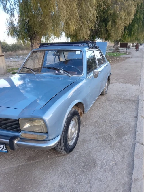 Peugeot 504 GL 1970 