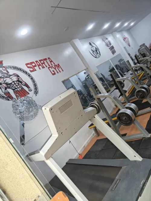 Body force tout 9