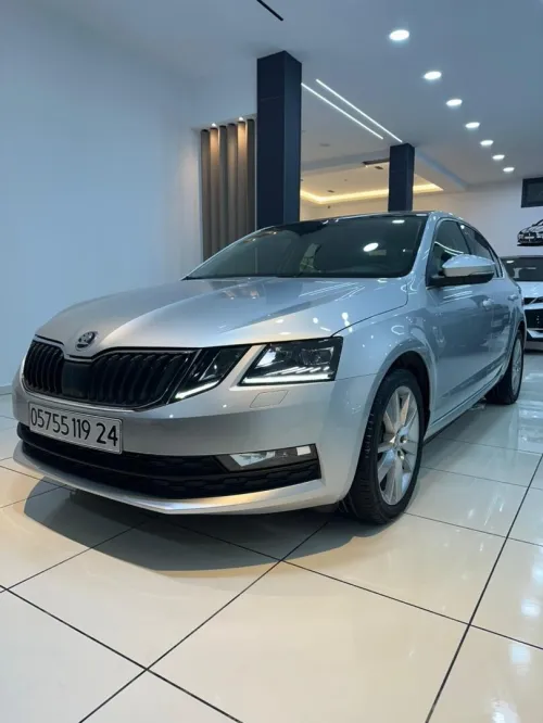 Skoda Octavia 2019 Clever