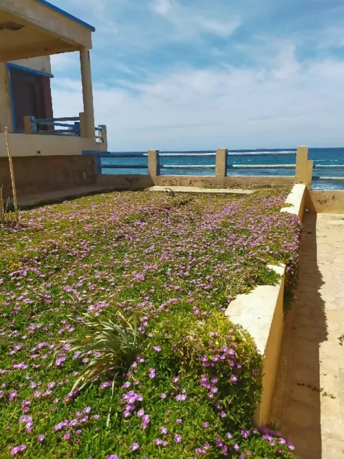Vente Villa Oran Bousfer