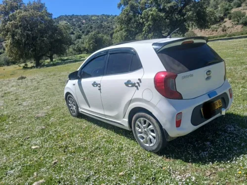 Kia Picanto 2019 EX
