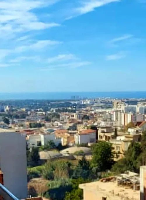 Location Local Alger Dely brahim