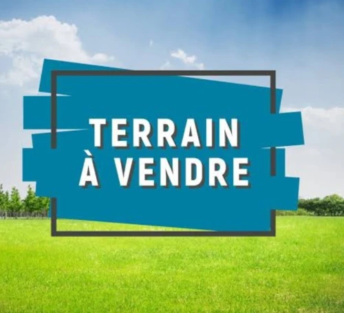 Vente Terrain Alger Hammamet