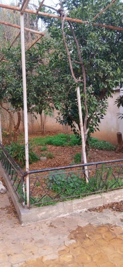 Vente Terrain Alger Baba hassen