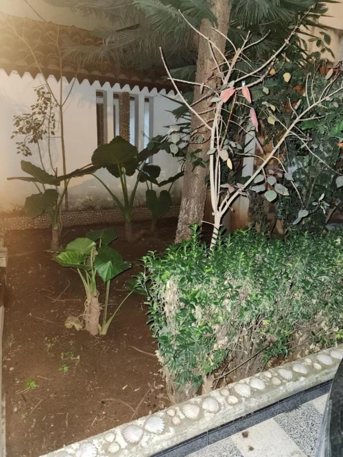 Vente Villa Alger Birkhadem
