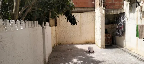 Vente bien immobilier Blida Blida