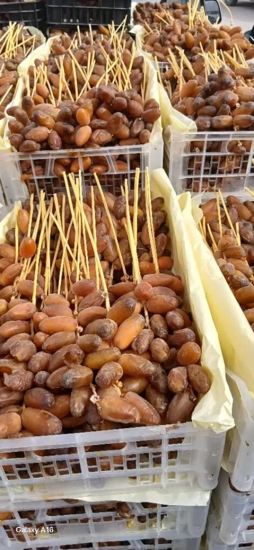 Vente de Dattes Premium ( DegletNour)/ بيع تمور دقلة نور
