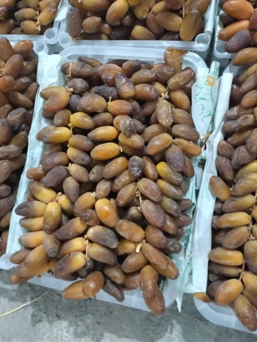 Vente de Dattes Premium ( DegletNour)/ بيع تمور دقلة نور