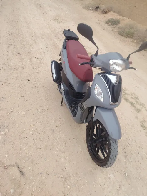 Sim Sanfoni s 2025