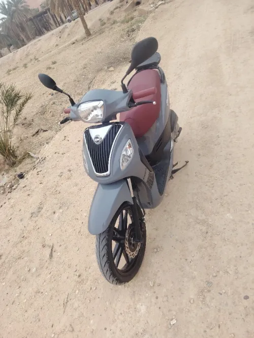 Sim Sanfoni s 2025
