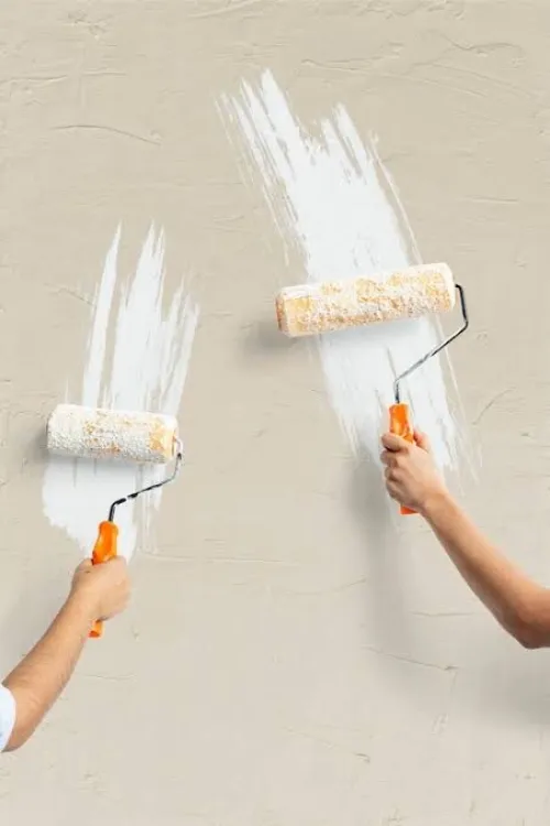 Service professionnel pour les décorations et pointeur