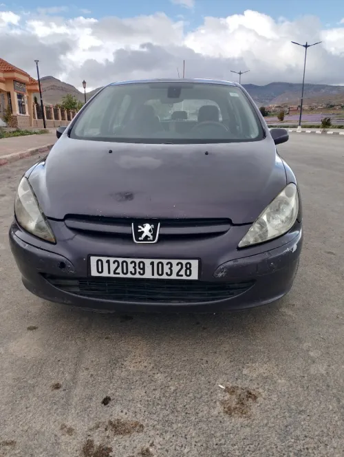 Peugeot 307 2003 XT