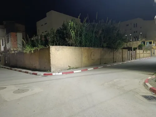 Vente Terrain Alger Bordj el kiffan