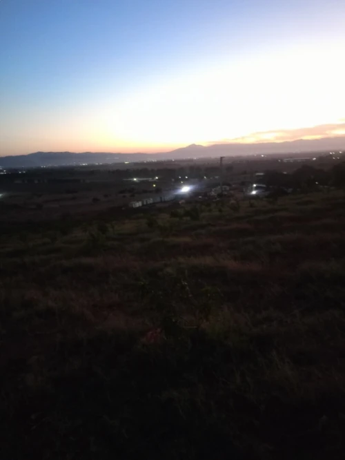 Vente Terrain Agricole Tipaza Sidi rached