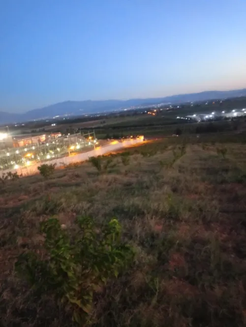 Vente Terrain Agricole Tipaza Sidi rached