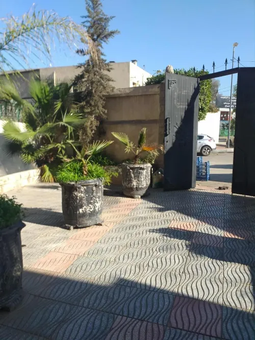 Location bien immobilier Alger Bachdjerrah