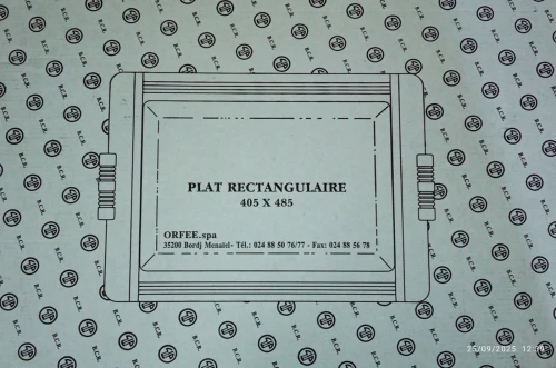 Plat argenté vintage BCR