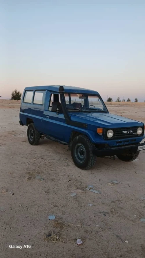 Toyota Land Cruiser 1991 Long