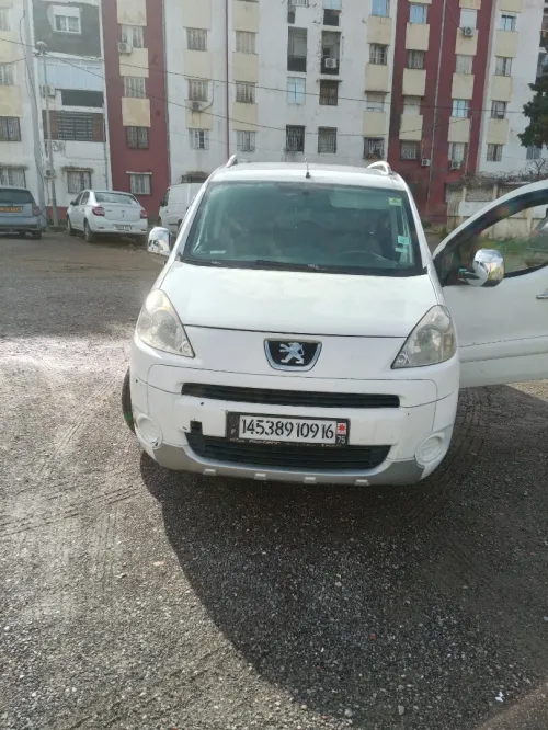 Peugeot tepee 2009 tepee