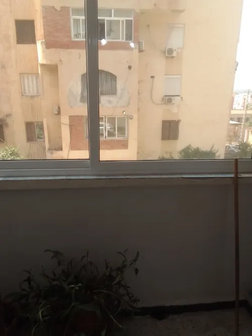 Location Appartement F3 Alger Zeralda