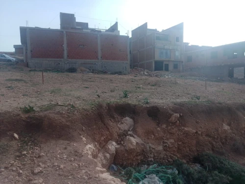 Vente Terrain Tlemcen Msirda fouaga