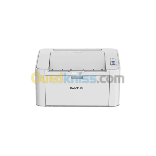 Pantum P2509 Laser A4 Noir et Blanc 22PPM