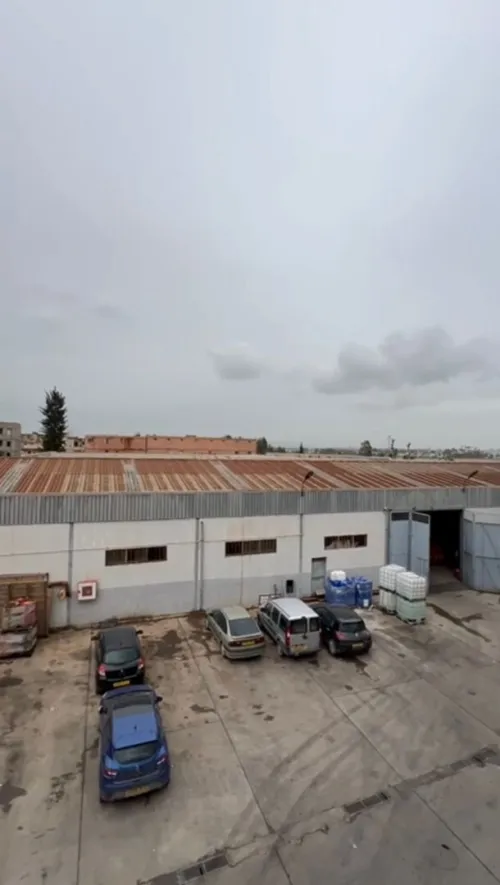 Vente Hangar - Usine Alger Les eucalyptus