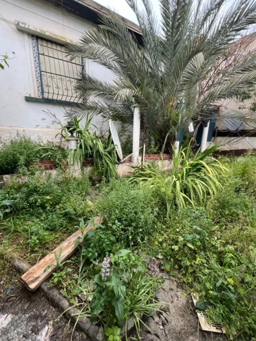 Vente Villa Alger Kouba