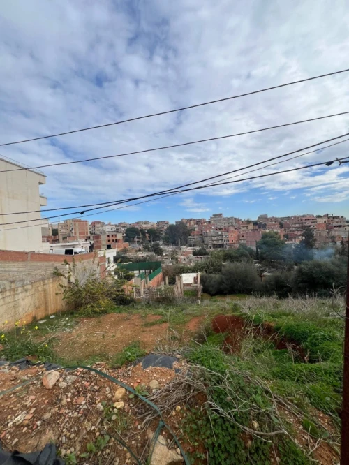 Vente Terrain Alger Saoula