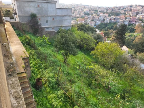 Vente Villa Alger Bouzareah