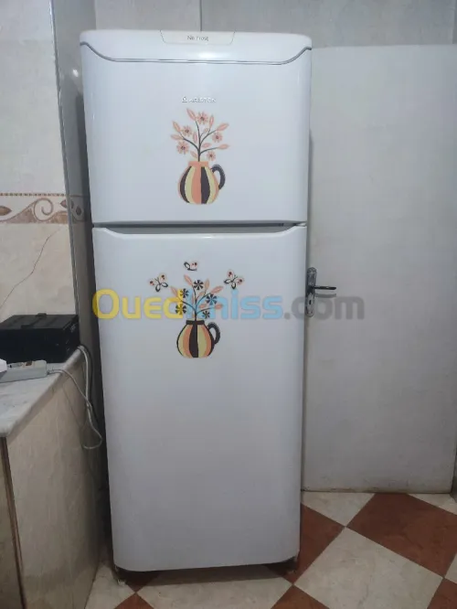 Ariston non frost