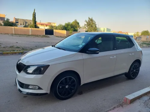 Skoda Fabia 2018 Monte Carlo