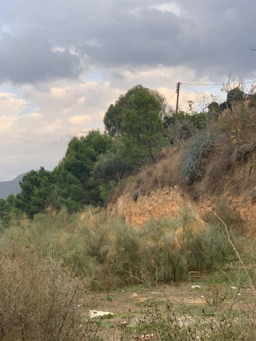 Vente Terrain Béjaïa Seddouk